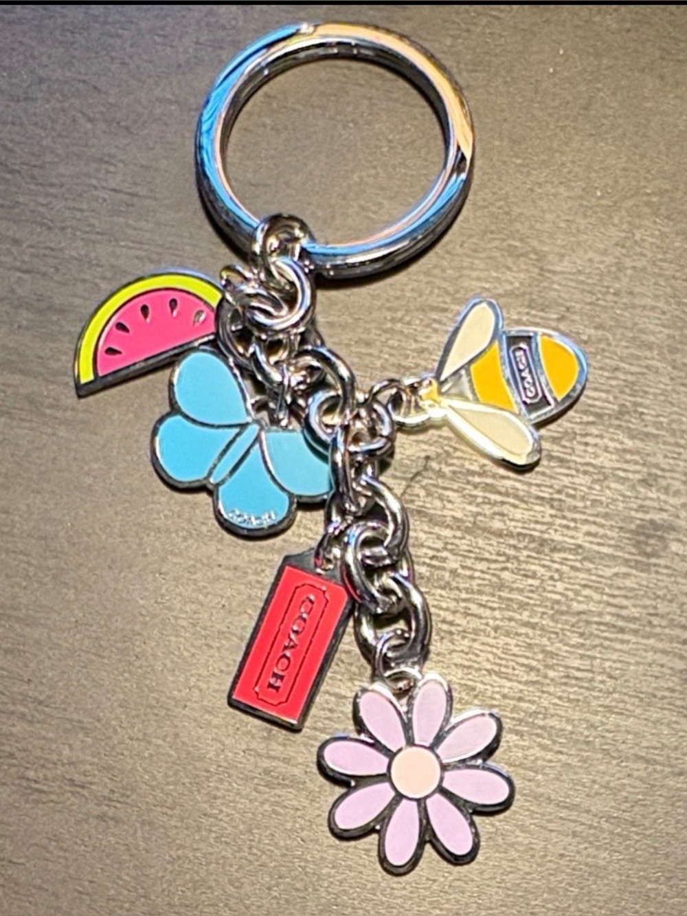 Coach Multicolor Enamel Charm Keychain